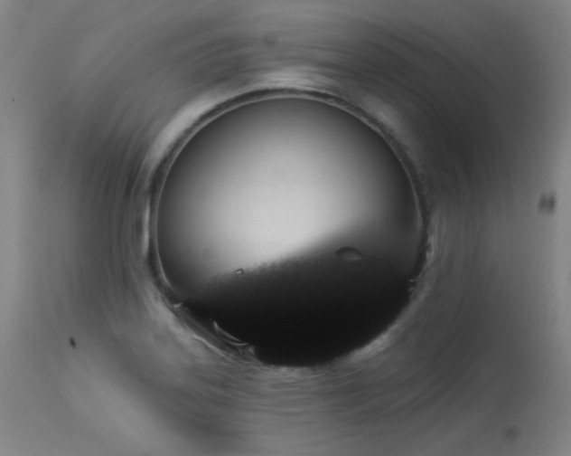 X0000113981323200910021127
