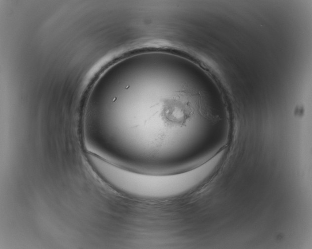 X0000113981326200910021127