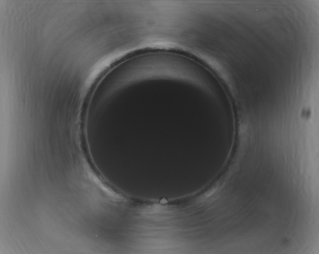 X0000113981327200910021127