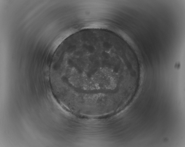 X0000113981329200910021127