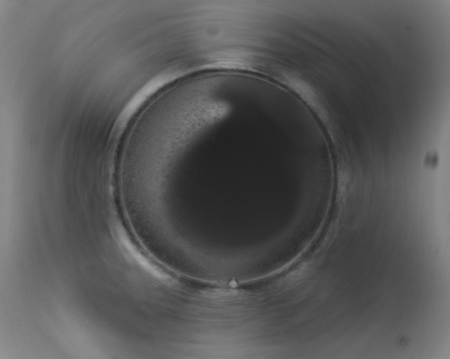 X0000113981331200910021127