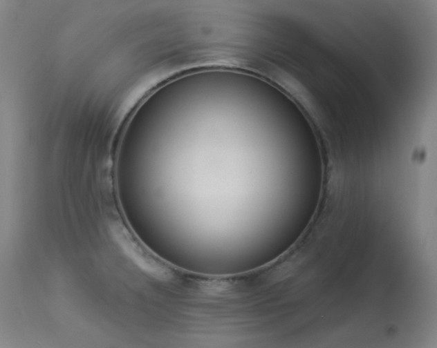 X0000113981332200910021127