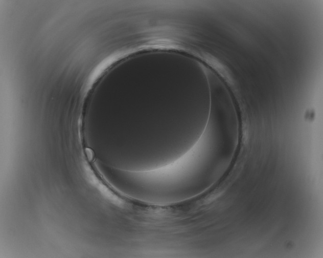 X0000113981334200910021127