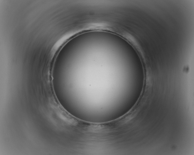 X0000113981336200910021127