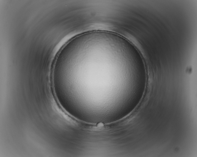 X0000113981339200910021127