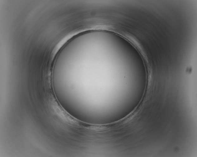 X0000113981340200910021127