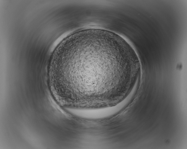 X0000113981341200910021127