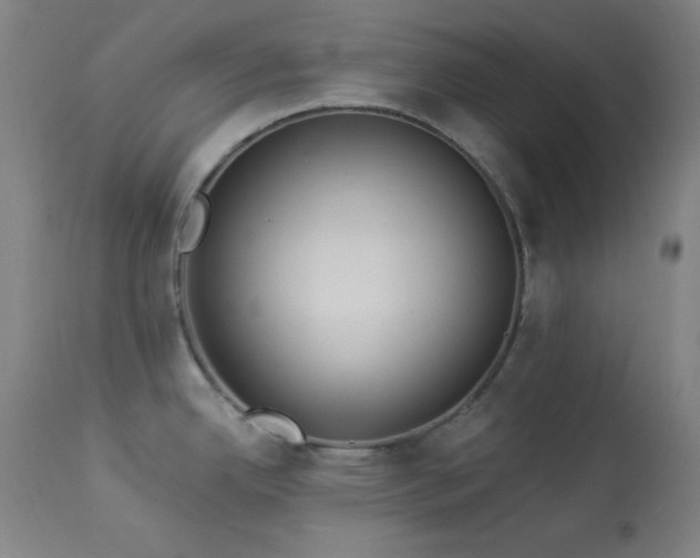 X0000113981342200910021127