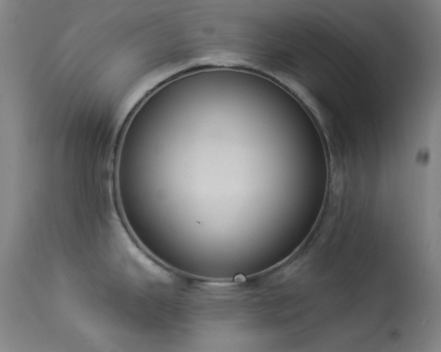 X0000113981343200910021127