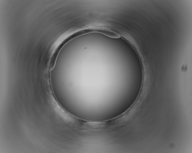 X0000113981344200910021127