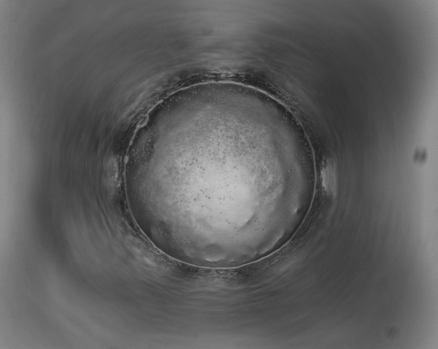 X0000113981347200910021126