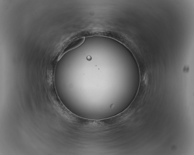 X0000113981348200910021126