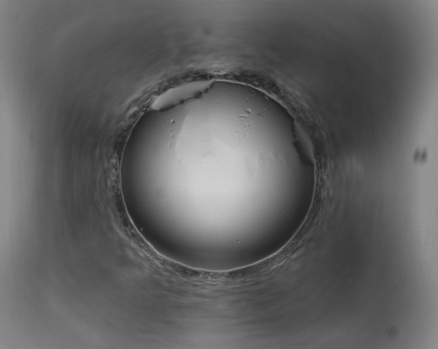 X0000113981349200910021126
