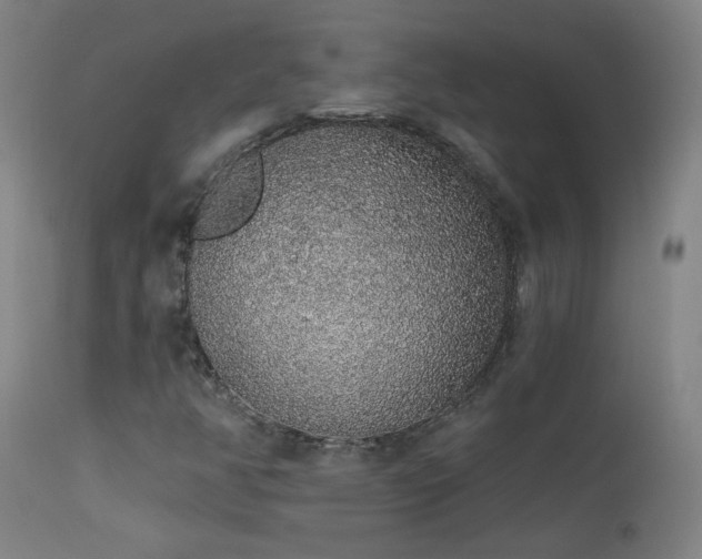 X0000113981350200910021126