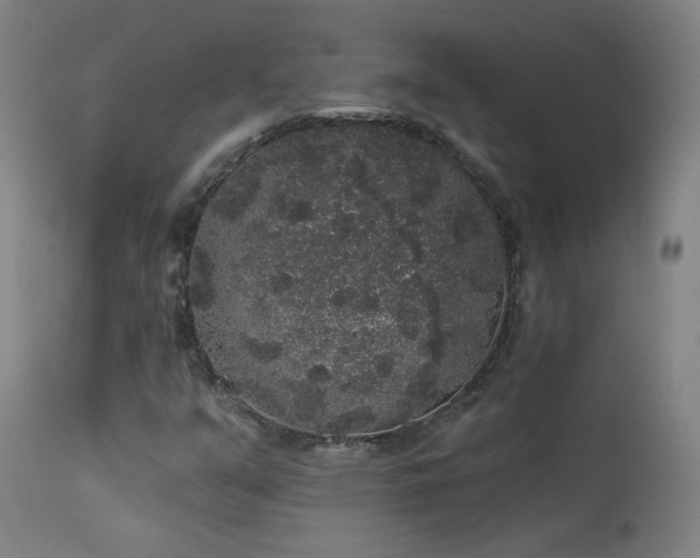 X0000113981351200910021126