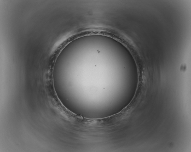 X0000113981352200910021126