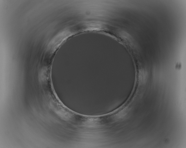 X0000113981353200910021126