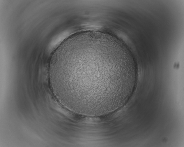 X0000113981354200910021126