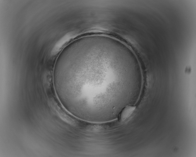 X0000113981355200910021126