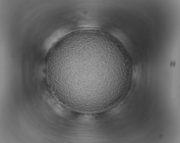 X0000113981357200910021126