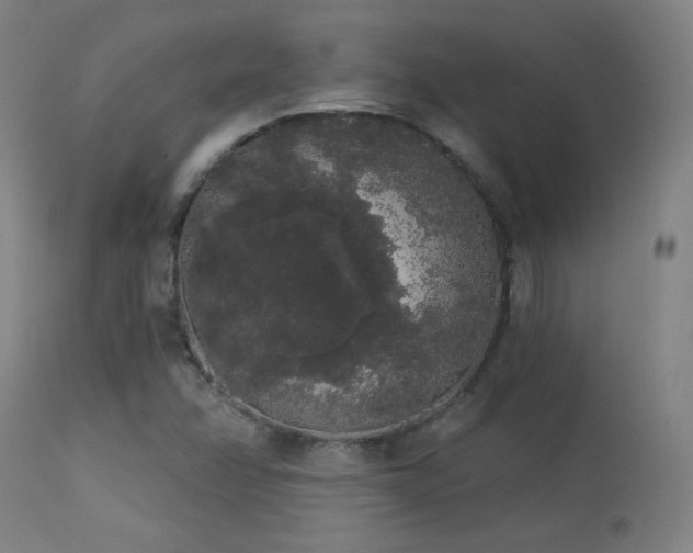 X0000113981358200910021126