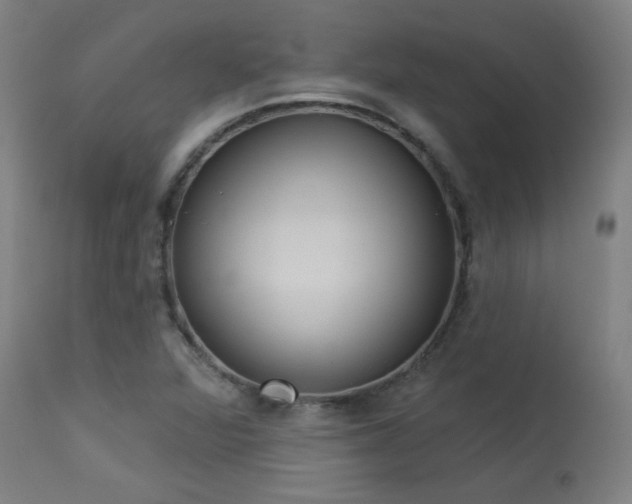X0000113981360200910021126