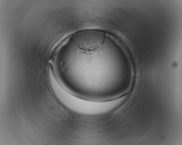 X0000113981361200910021126