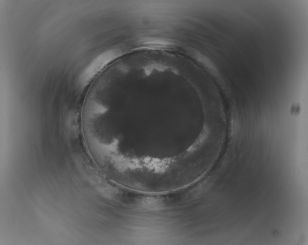 X0000113981362200910021126