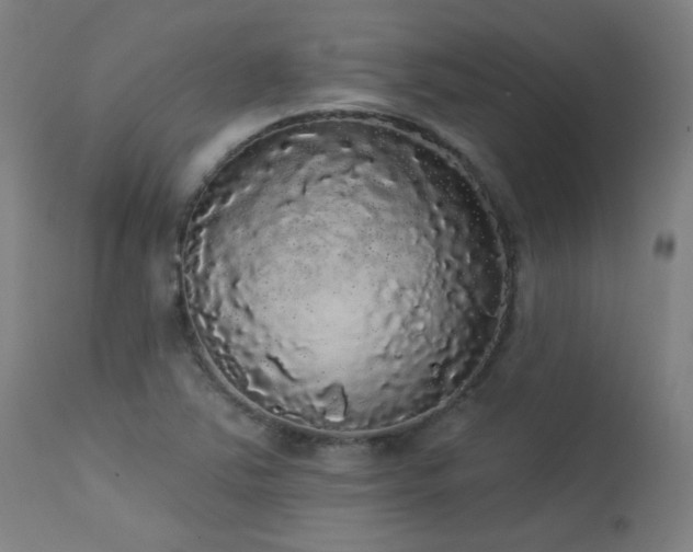 X0000113981363200910021126