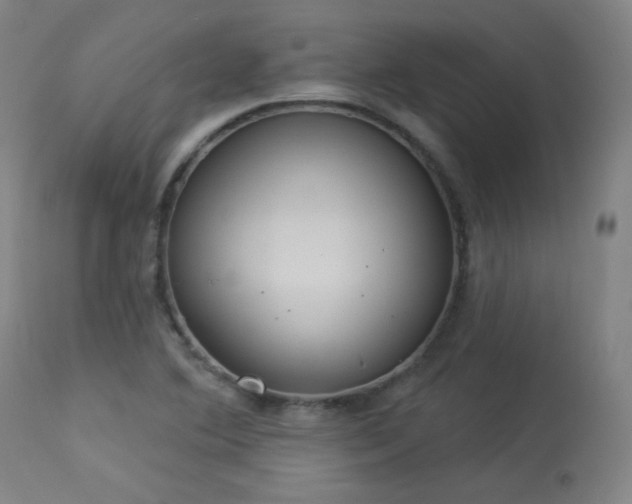 X0000113981364200910021126