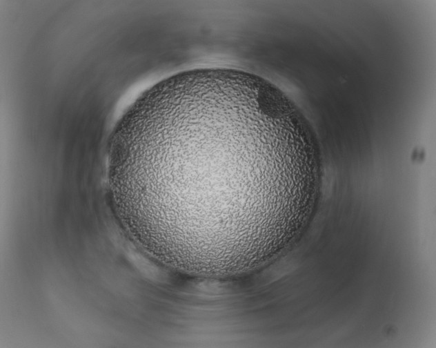 X0000113981366200910021126