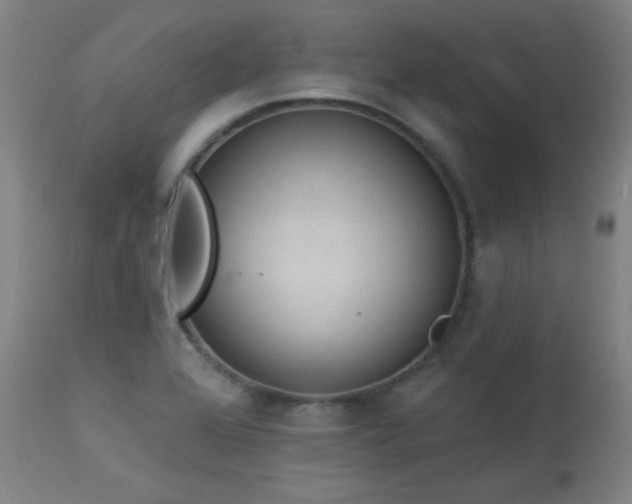 X0000113981368200910021126