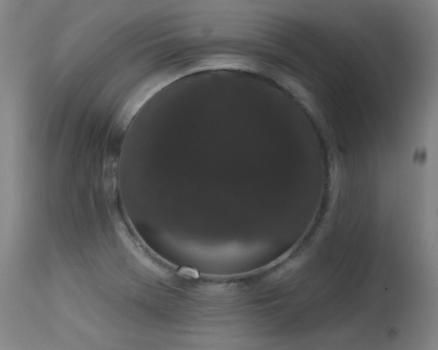 X0000113981369200910021126