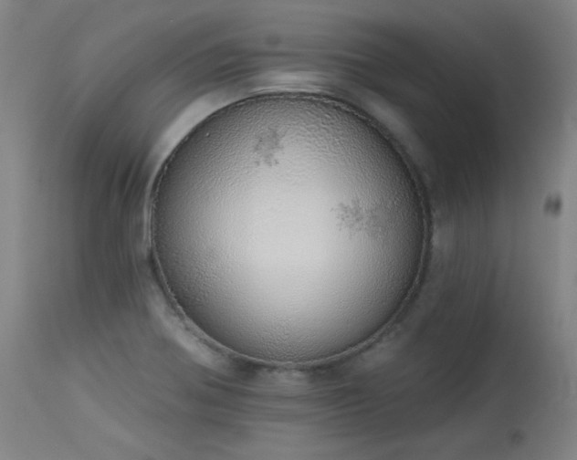 X0000113981370200910021126