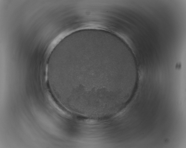 X0000113981371200910021126