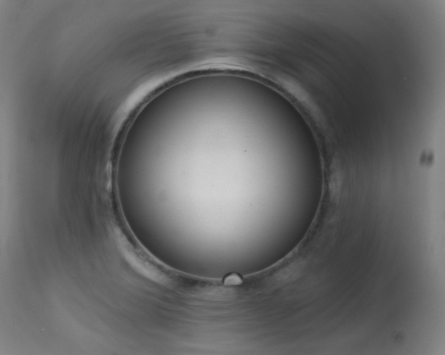 X0000113981372200910021126