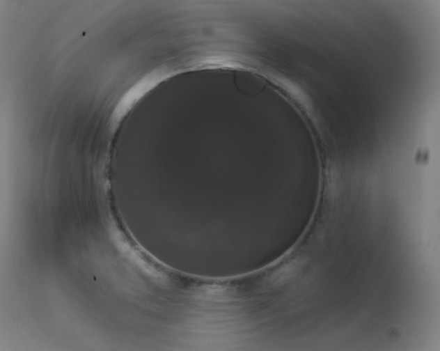 X0000113981373200910021126