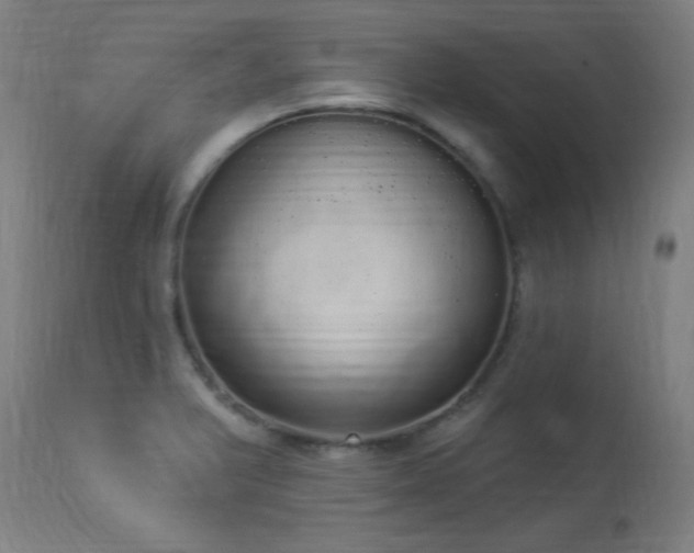 X0000113981375200910021126