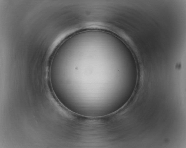 X0000113981376200910021126