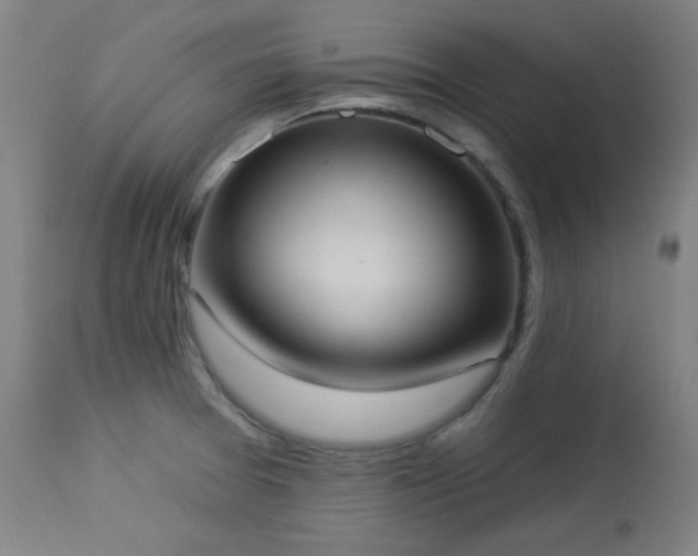X0000113981377200910021126