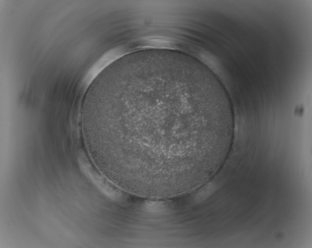 X0000113981378200910021126