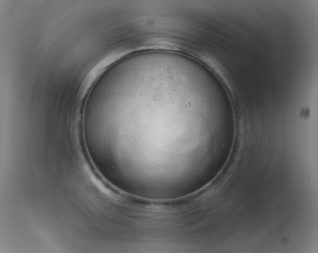 X0000113981379200910021126