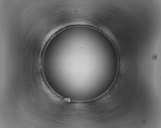 X0000113981380200910021126