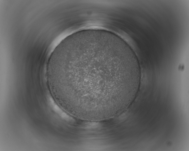 X0000113981382200910021126