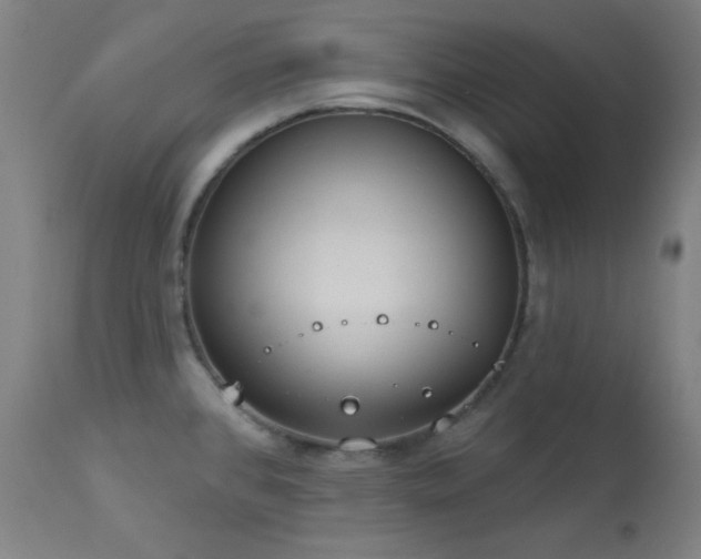 X0000113981384200910021126