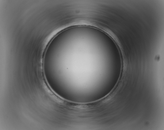 X0000113981388200910021126