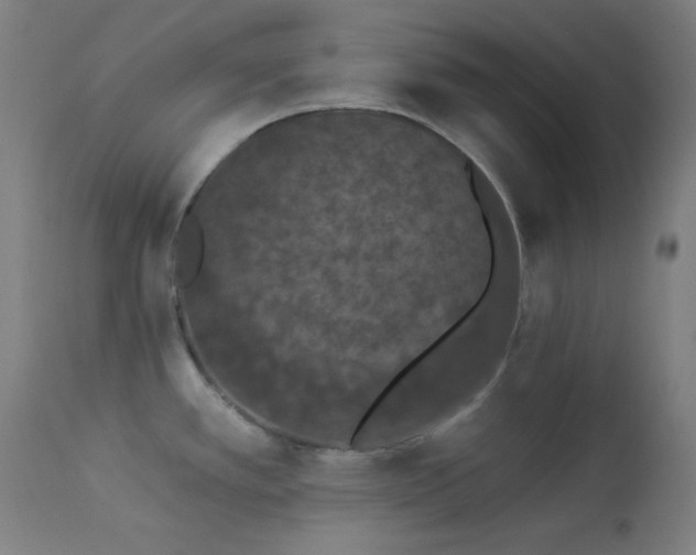 X0000113981389200910021126