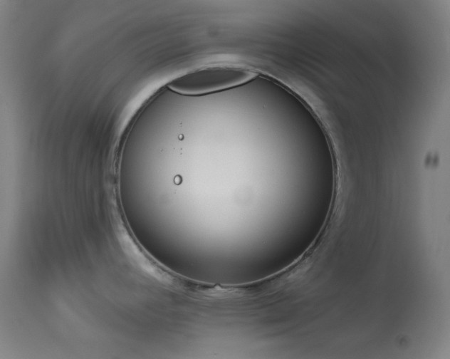 X0000113981392200910021125