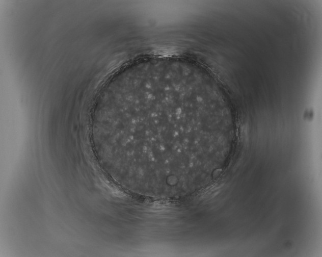 X0000113981393200910021124