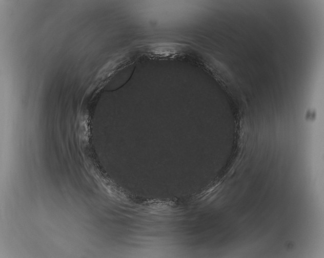 X0000113981394200910021124